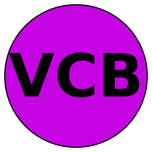 VividCrafted Beauty